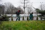 Acțiune de curățare a parcurilor din Sectorul 4, efectuată de Totul Verde. SA înainte de sărbători 