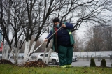 actiune-de-curatare-a-parcurilor-din-sectorul-4-efectuata-de-totul-verde-sa-inainte-de-sarbatori-49922-2.jpg