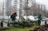 actiune-de-curatare-a-parcurilor-din-sectorul-4-efectuata-de-totul-verde-sa-inainte-de-sarbatori-49922-4.jpg