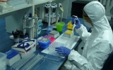 Bilanț coronavirus! Câte cazuri s-au înregistrat în ultimele 24 de ore