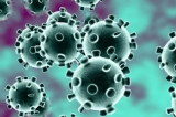 Bilanț coronavirus în România. Câte noi cazuri s-au înregistrat în ultimele 24 de ore