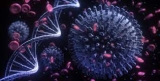 Când se va încheia pandemia de coronavirus. Experții vin cu vești bune