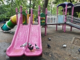 Debandada din Parcul Cișmigiu, după 2 săptămâni de la curățenie  