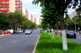 in-sectorul-4-este-totul-verde-48277-5.jpg