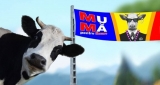 Pentru Primaria Bragadiru,  un candidat copy-paste