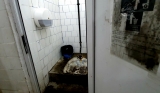 PRIMARUL DANIEL BĂLUȚĂ BATE ÎN INSTANȚĂ ȘI FUNDAȚIA ECO-CIVICA, A LUI DAN TRIFU. RECONSTRUCȚIA PIEȚEI NORILOR POATE CONTINUA