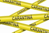 Rata de infectare în Baia Mare a ajuns la 6,47 la mia de locuitori  Orasul  intră în carantină pentru două săptămâni