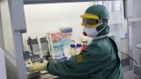 Record absolut de infectări. Cel mai mare număr de cazuri COVID-19 de la începutul pandemiei