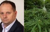  Senator AUR, prins cu 400 de tufe de marijuana: Au crescut singure în grădina părinților/ Mama probabil are cancer și bea ceai