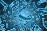 Tot ce trebuie să ştii despre Listeria, bacteria care a alertat întreaga lume