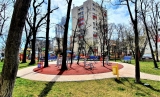 Totul Verde  A început toaletarea copacilor în sectorul 4