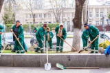 Totul Verde: Plantele au si ele nevoie de ajutor  · 