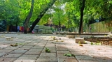 totul-verde-reia-lucrarile-la-parcul-din-aleea-terasei-sector-4-3.jpg