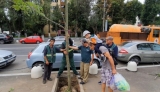 Totul Verde.SA A început „împădurirea” Sectorului 4 