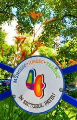 totul-verde-societatea-care-infrumuseteaza-sectorului-4-48699-2.jpg