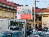 victor-nicolae-bogdan-46782-46938-2.jpg