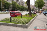 victor-nicolae-bogdan-46782-47314-4.jpg