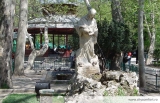 Reabilitarea parcului Cismigiu nu presupune taierea copacilor sanatosi .Membrii USR, incearca intoxicarea cu zvonuri a populatiei