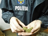 O tonă de canabis, descoperită într-un microbuz, la Giurgiu 