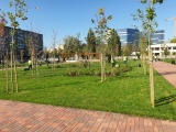 Parcul de două hectare amenajat în sectorul 6 în locul unei autobaze a societății de salubrizare