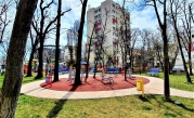 Totul Verde  A început toaletarea copacilor în sectorul 4