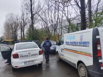 „Afaceri pe spinarea câinilor: de ce deranjează ecarisajul?”