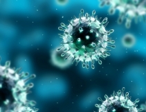 ALARMANT! Două bacterii care fac ravagii nu mai răspund la antibiotice