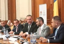 INFO PARLAMENT  Deputat  Nicolae Păun