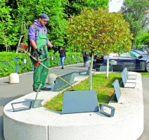 Zi de zi  Totul Verde continuă operațiunea de curățenie intre  blocurilor